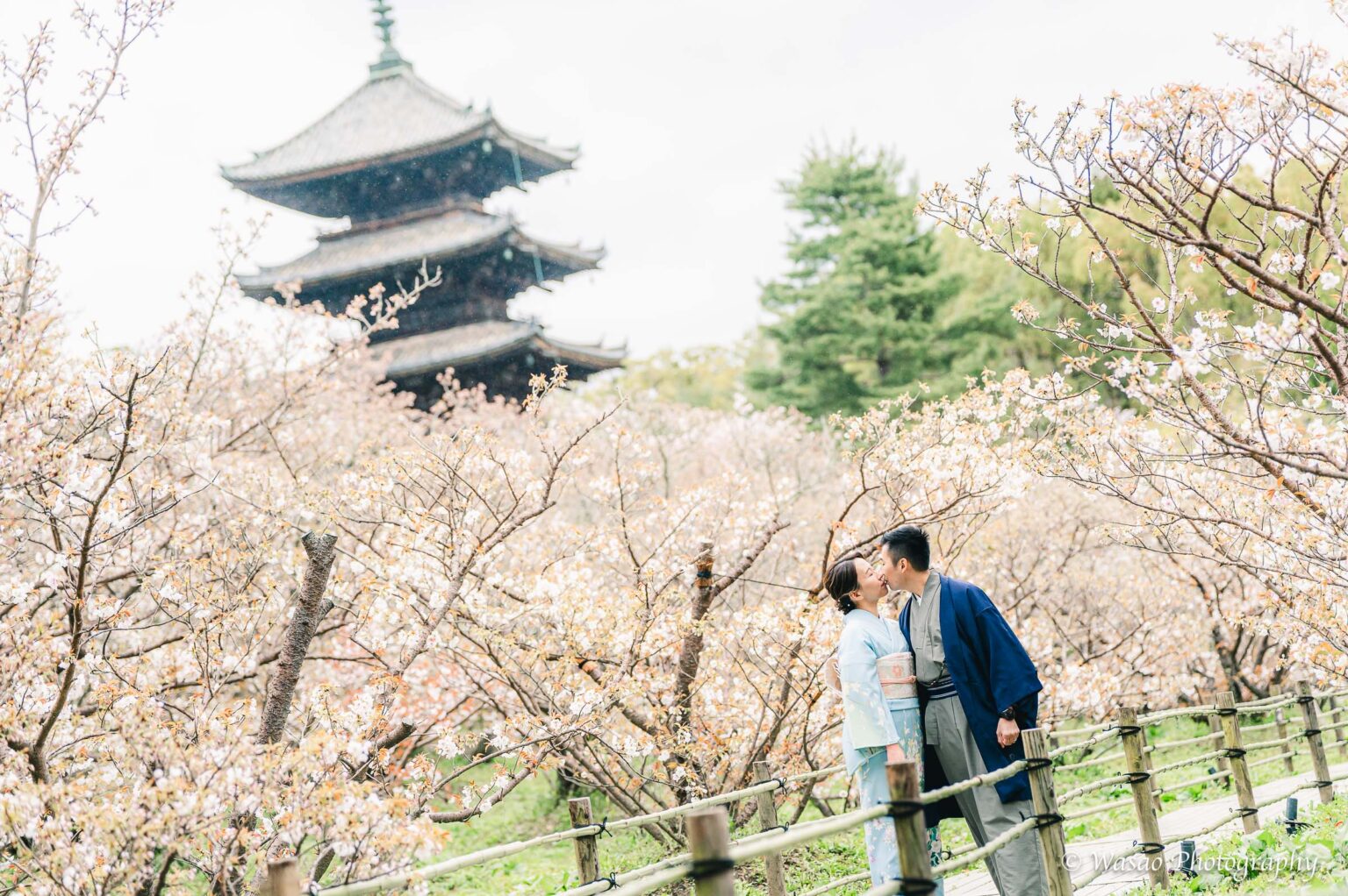 京都着物　仁和寺