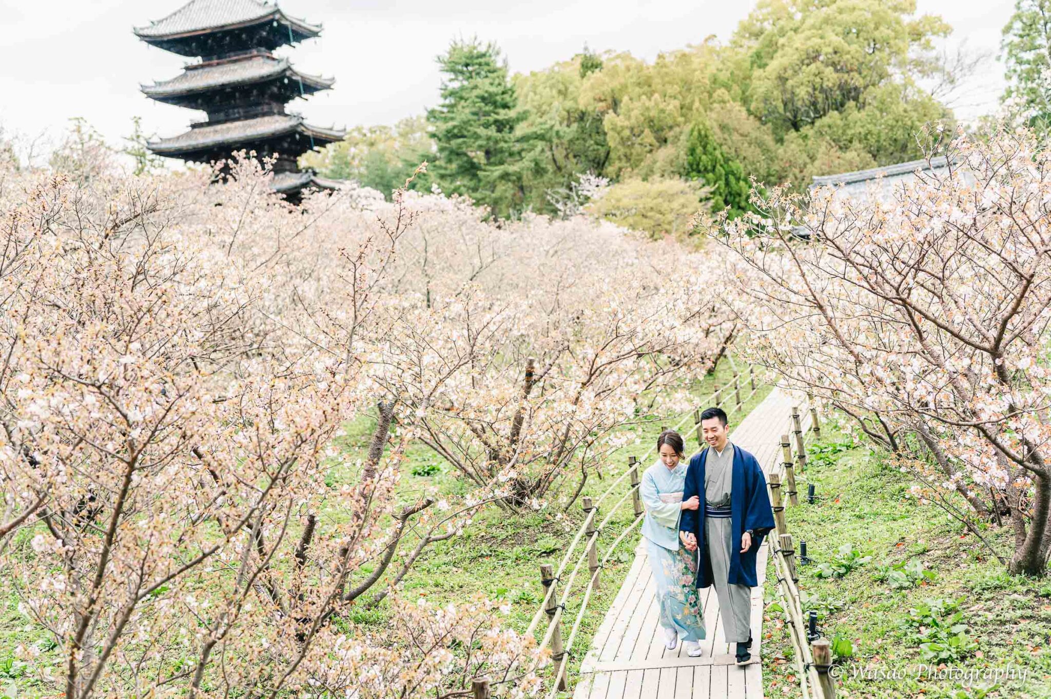 京都着物　仁和寺