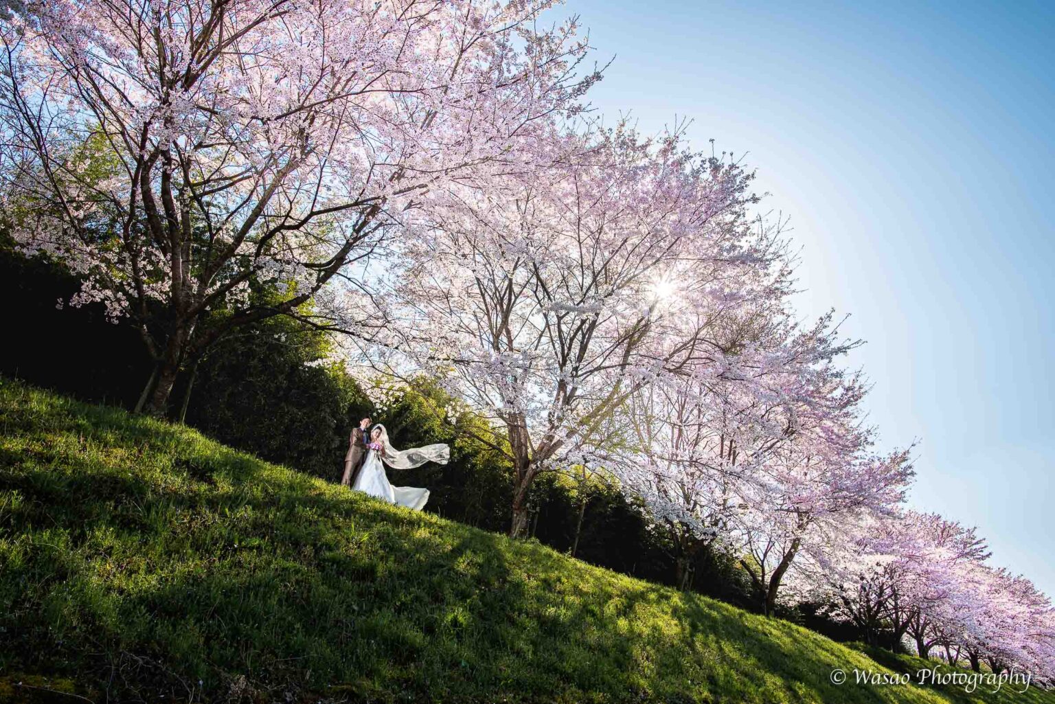 洋装前撮り　丹波篠山