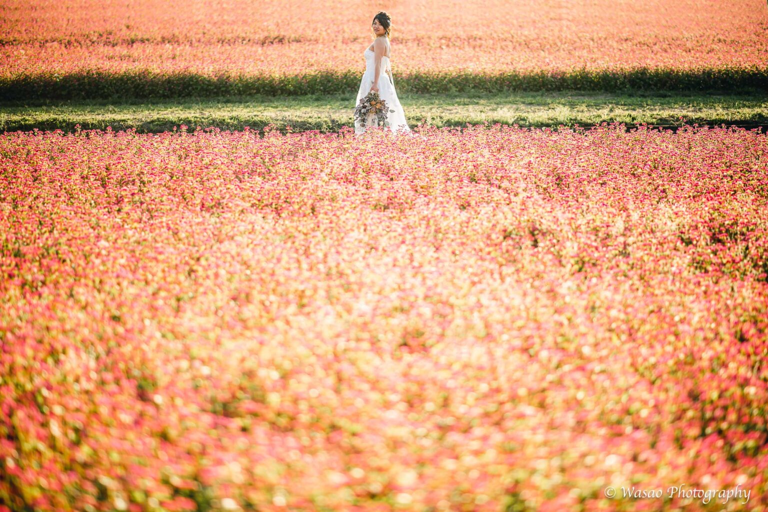 洋装前撮り　淡路島　花さじき