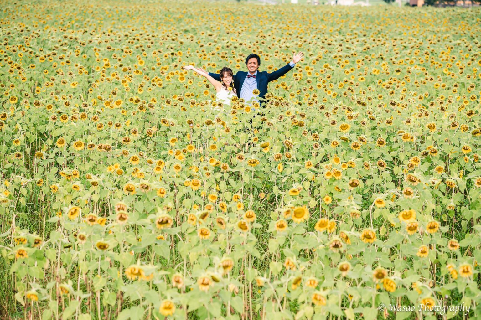 洋装前撮り　ひまわりの丘公園