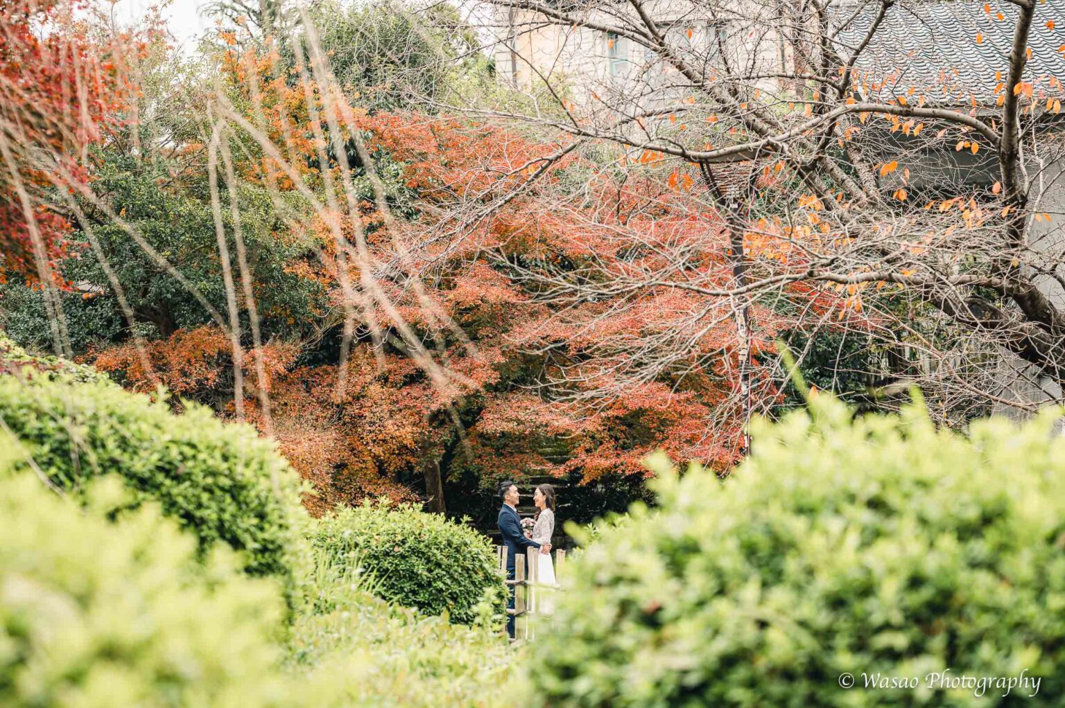 洋装前撮り　円山公園