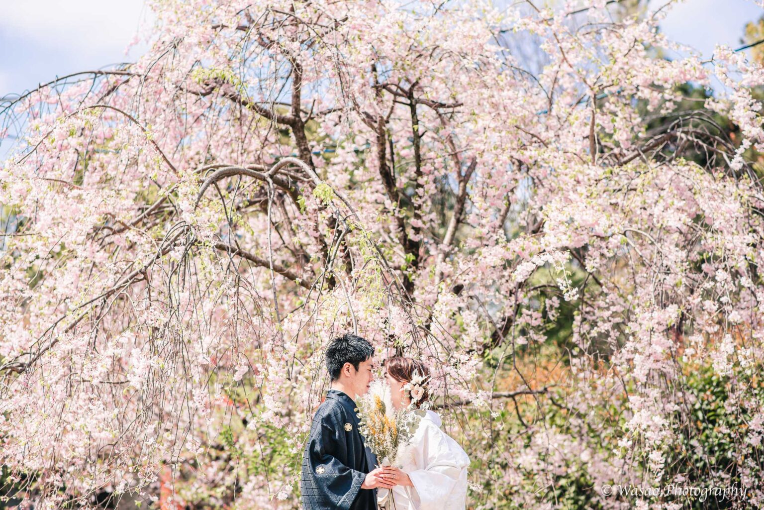 和装前撮り　円山公園