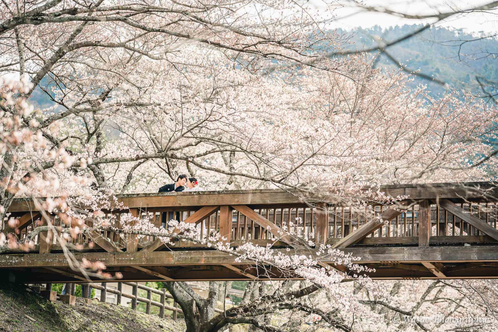 和装前撮り　亀岡　七谷川