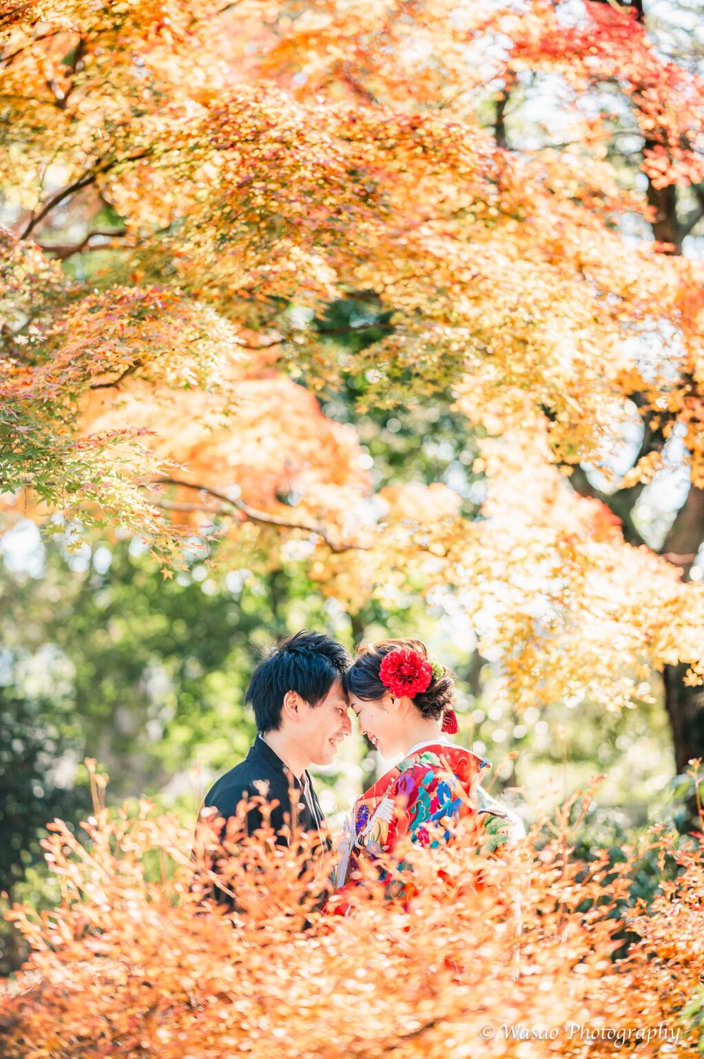 和装前撮り　円山公園