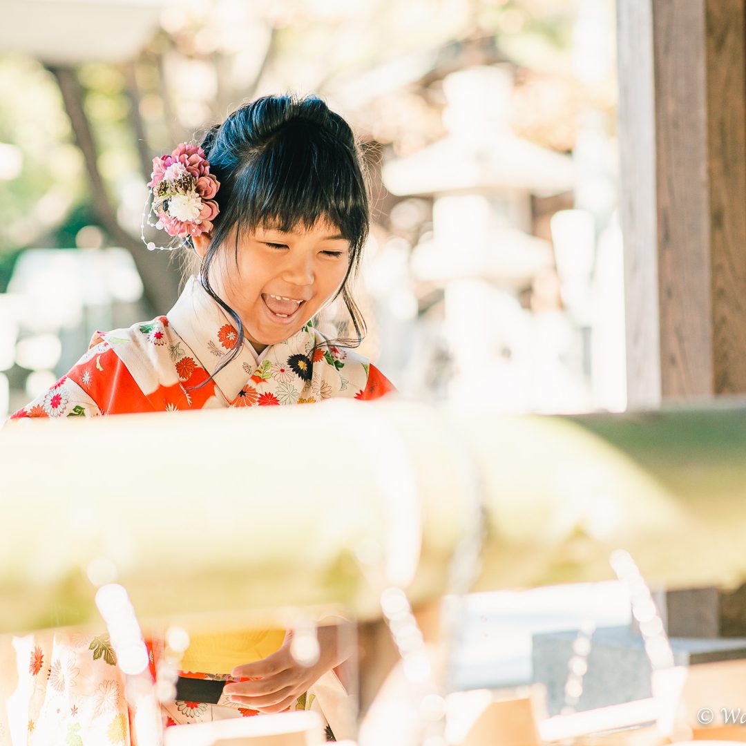 兵庫七五三：西宮神社