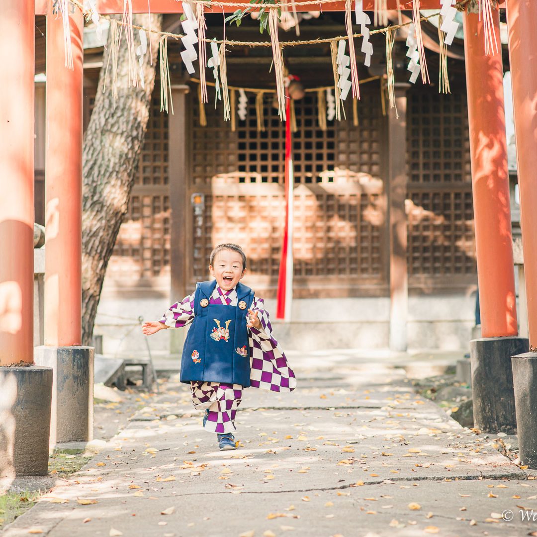 大阪七五三：茨城神社