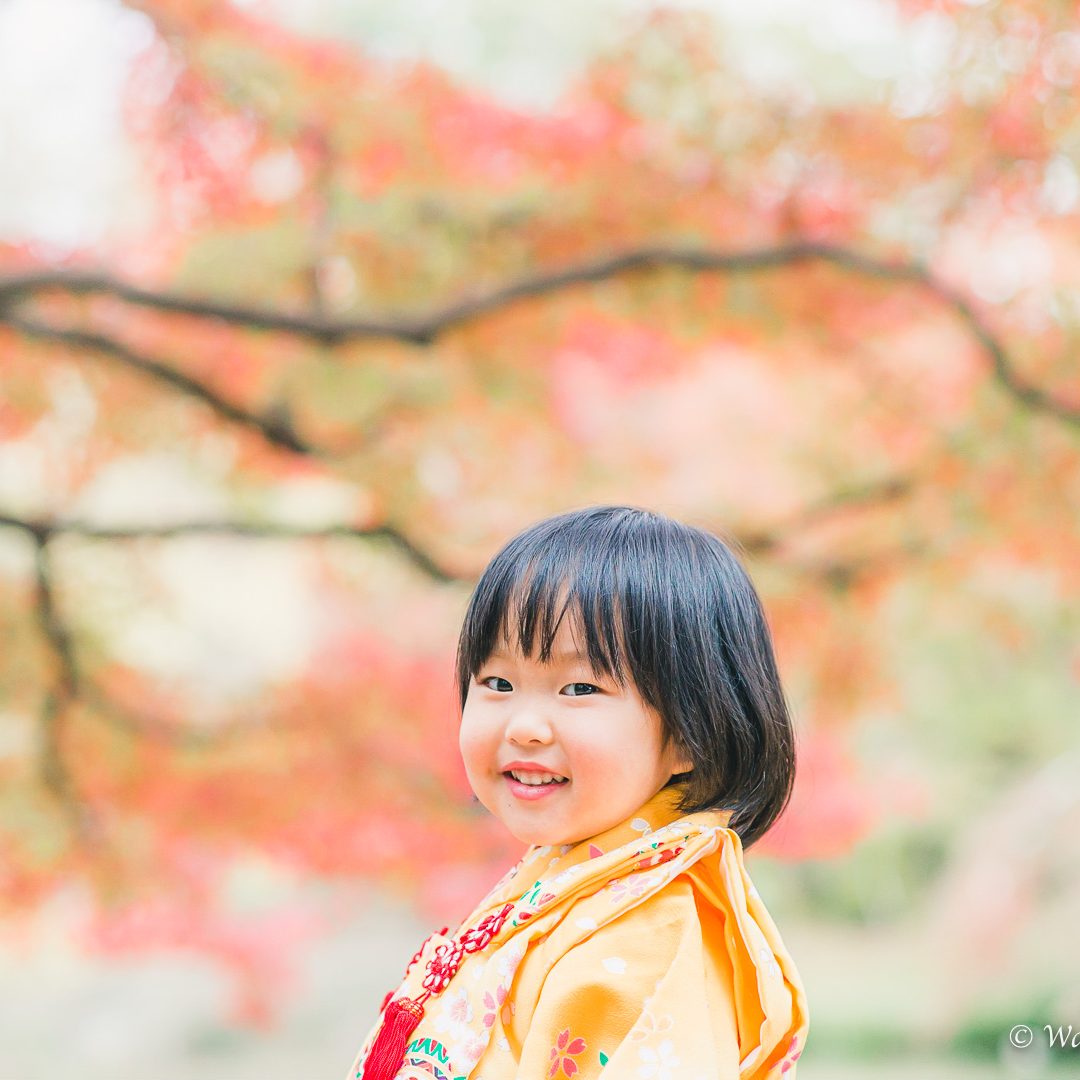 京都七五三：植物園