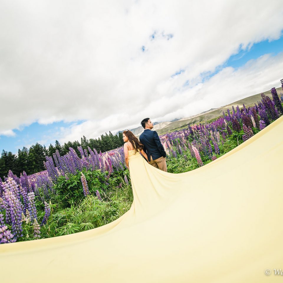 New Zealand前撮り:Lake Tekapo