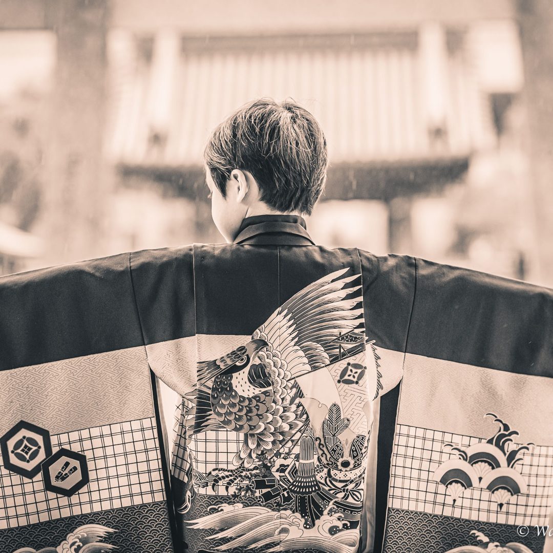 兵庫七五三：貴布禰神社