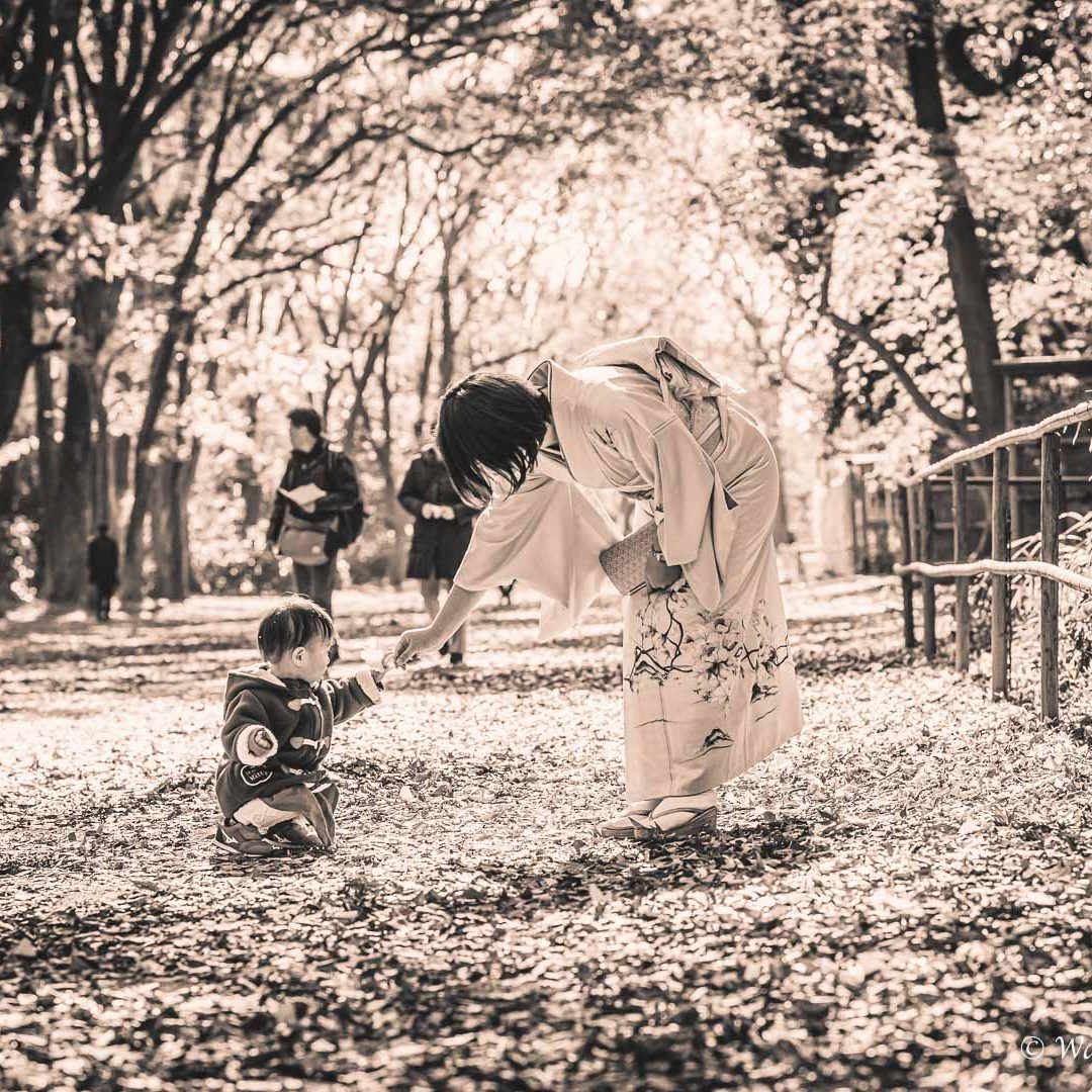京都七五三：下鴨神社