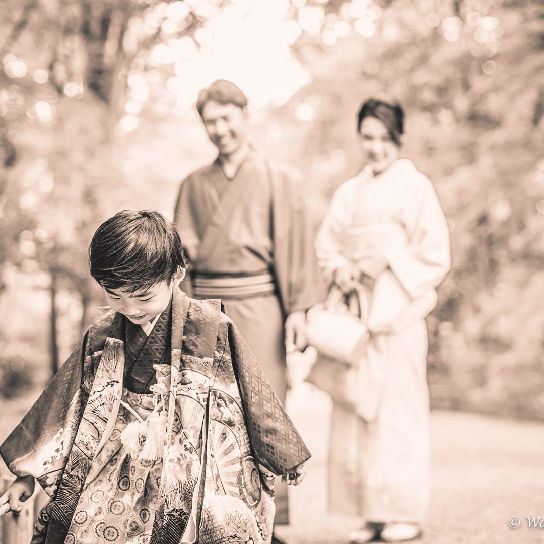 京都七五三：下鴨神社