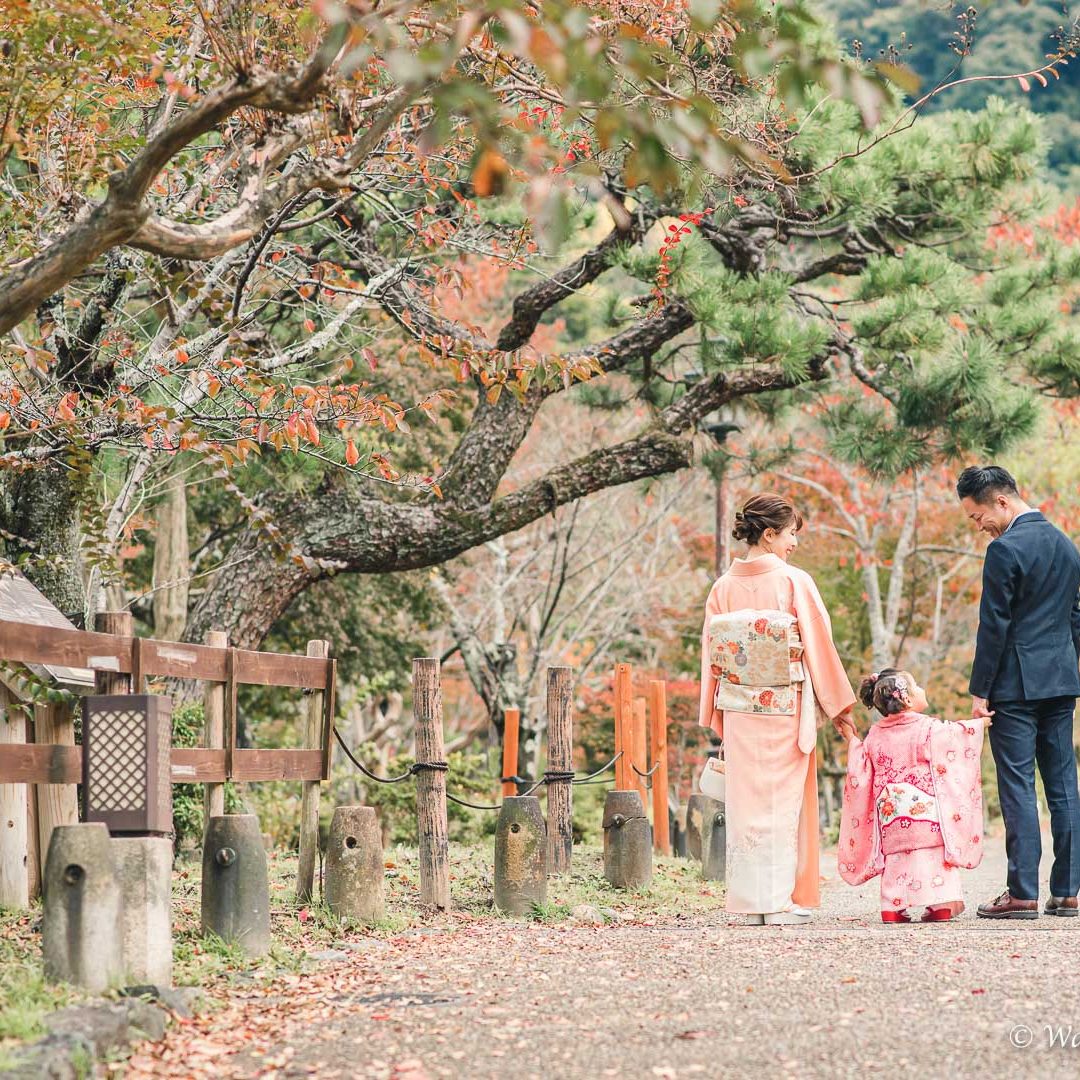 京都七五三：八坂神社　円山公園