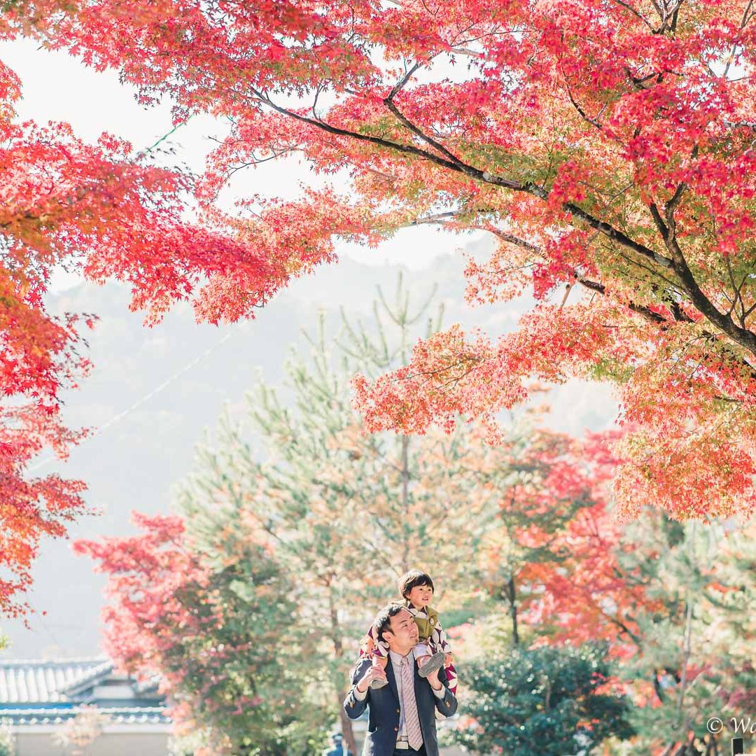 京都七五三：嵐山
