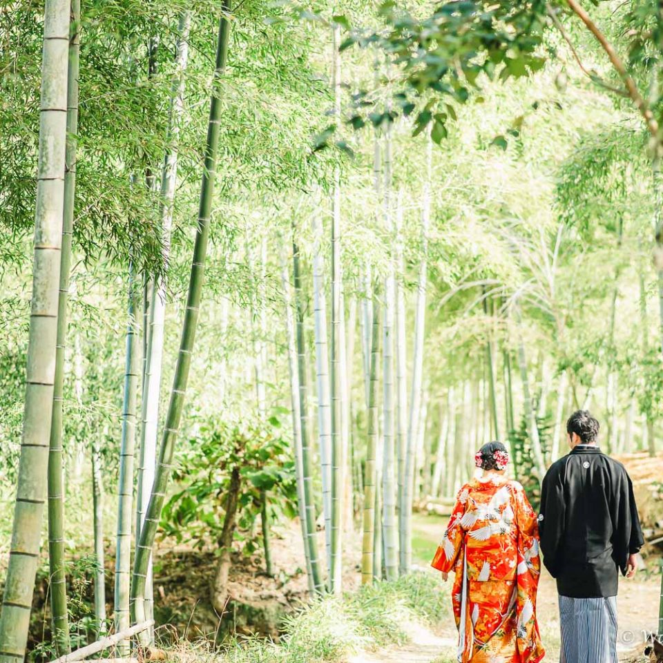 京都前撮り：洛西口　竹林の森　嵐山