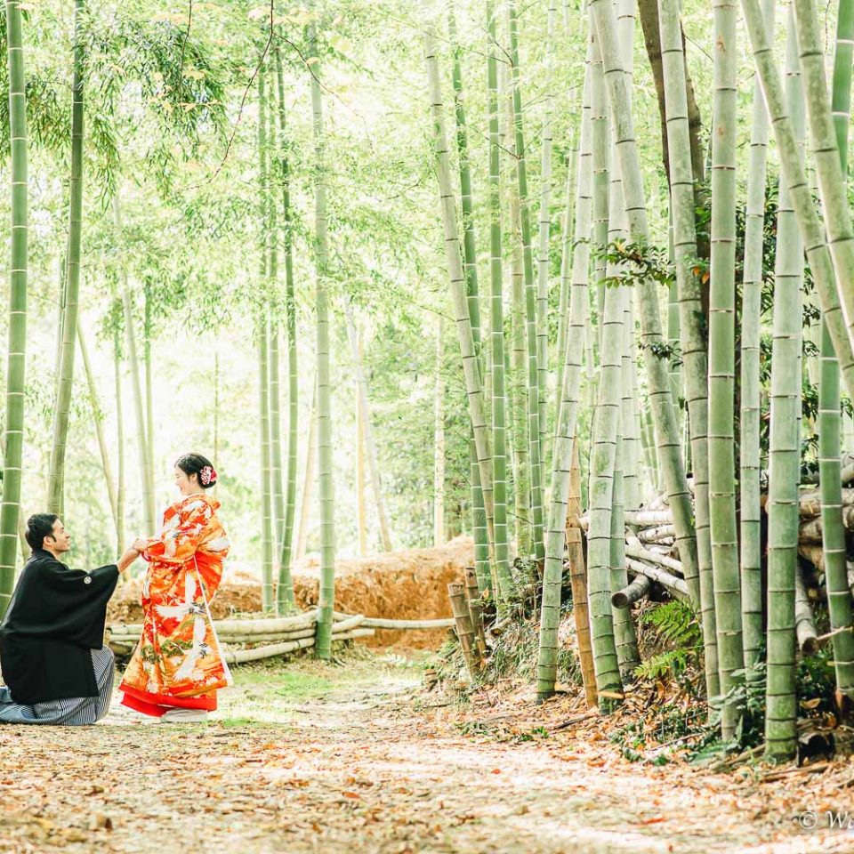 京都前撮り：洛西口　竹林の森　嵐山