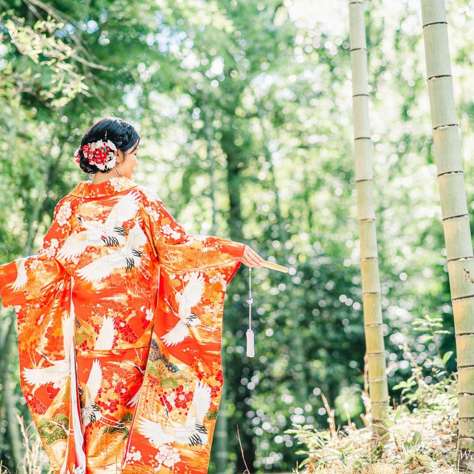 京都前撮り：洛西口　竹林の森　嵐山