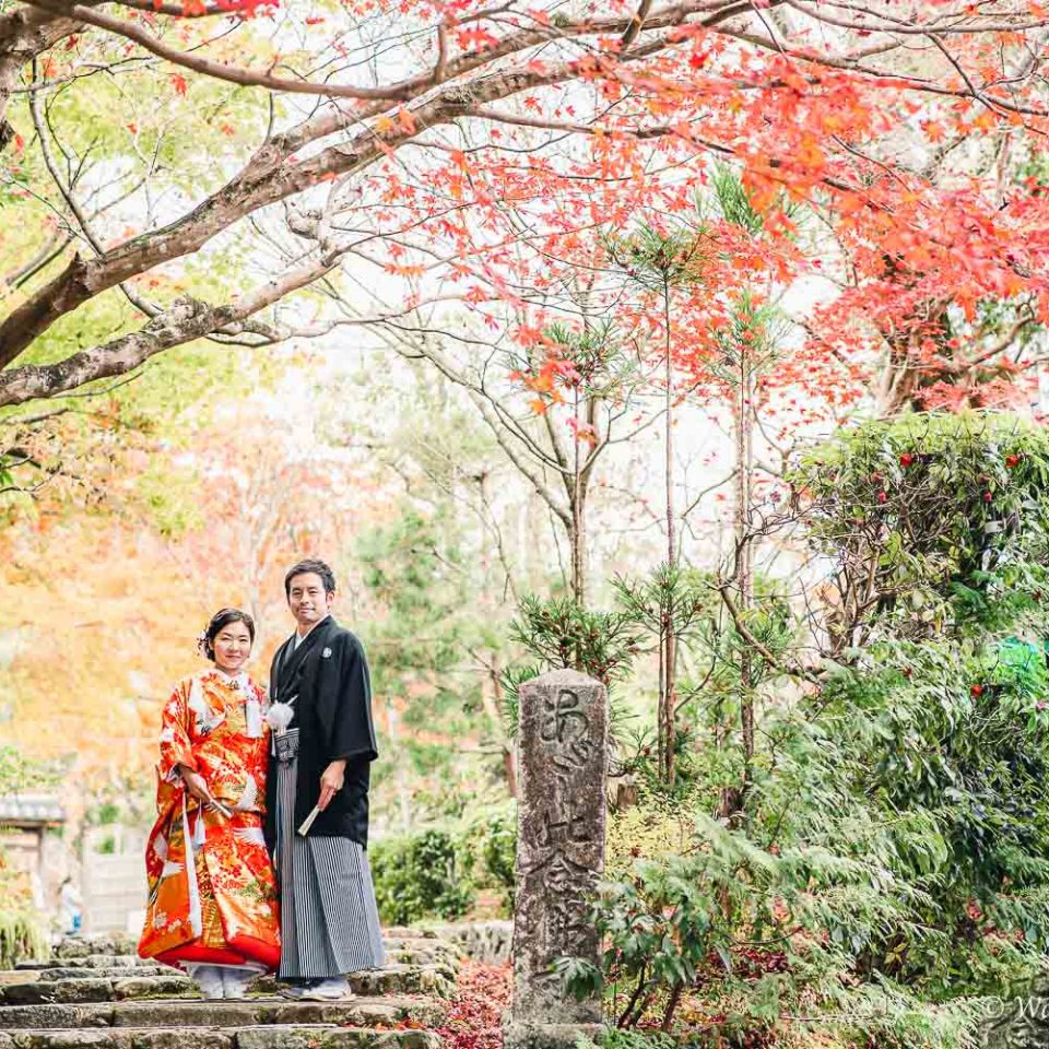 京都前撮り：洛西口　竹林の森　嵐山