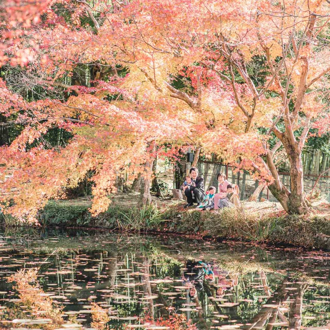 京都七五三：大原野神社