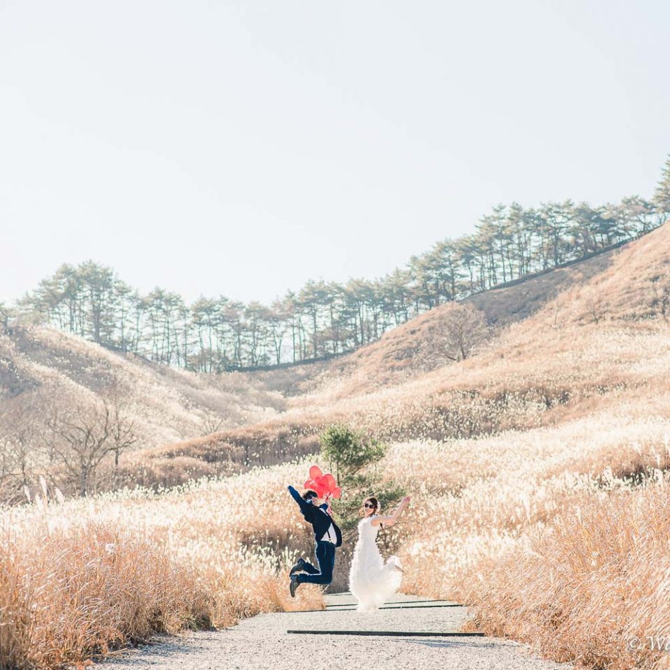 兵庫前撮り：砥峰高原