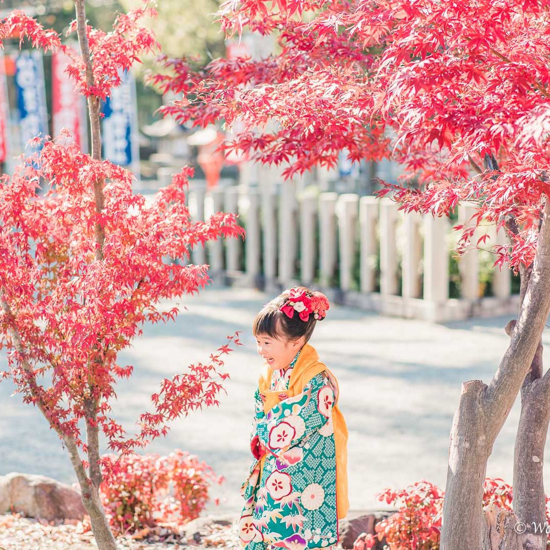 大阪七五三：豊中稲荷神社