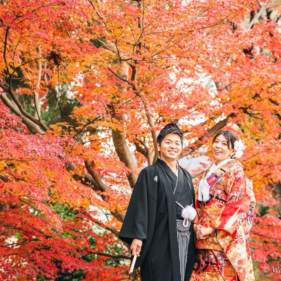 京都前撮り：洛西口　竹林の森