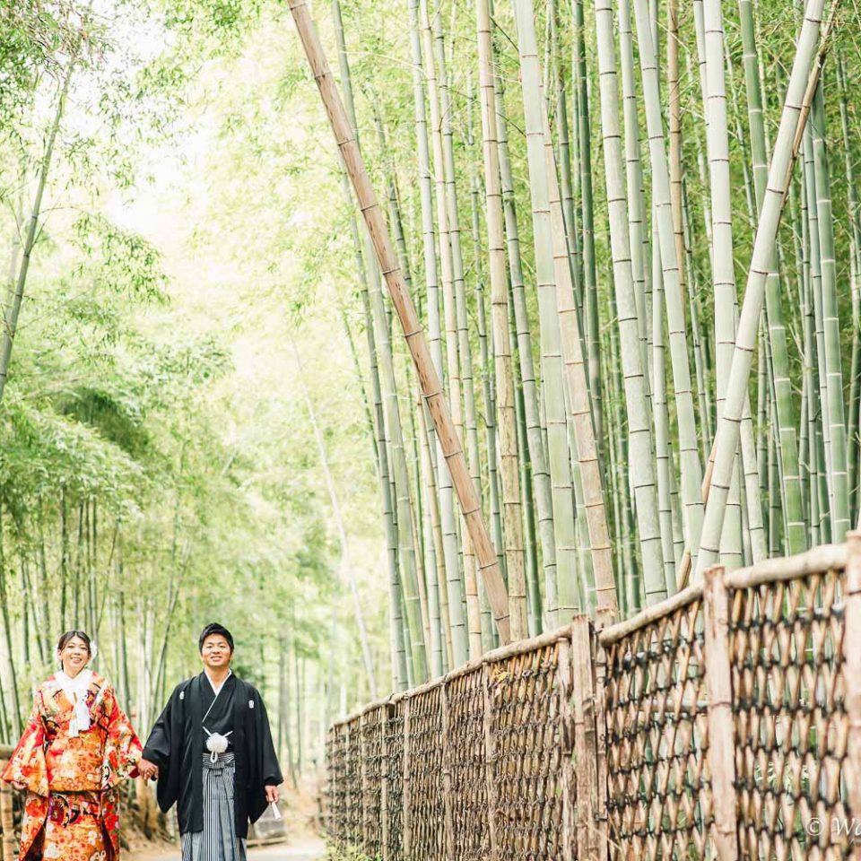 京都前撮り：洛西口　竹林の森