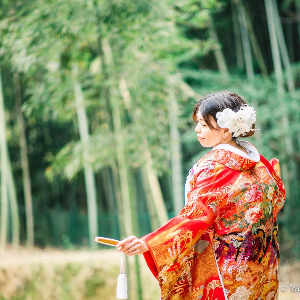 京都前撮り：洛西口　竹林の森