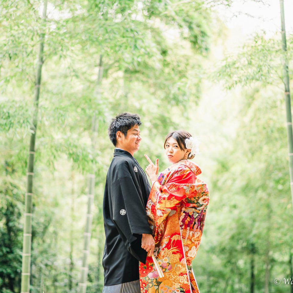 京都前撮り：洛西口　竹林の森