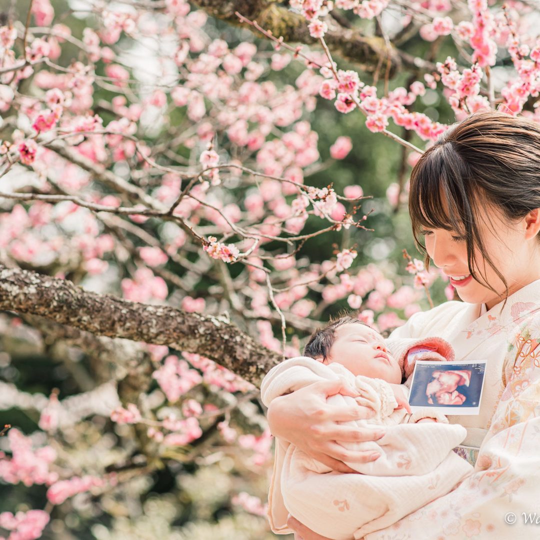 フォトギャラリーお宮参り Wasao Photography 京都前撮り 結婚式撮影 星空フォトウェデイング