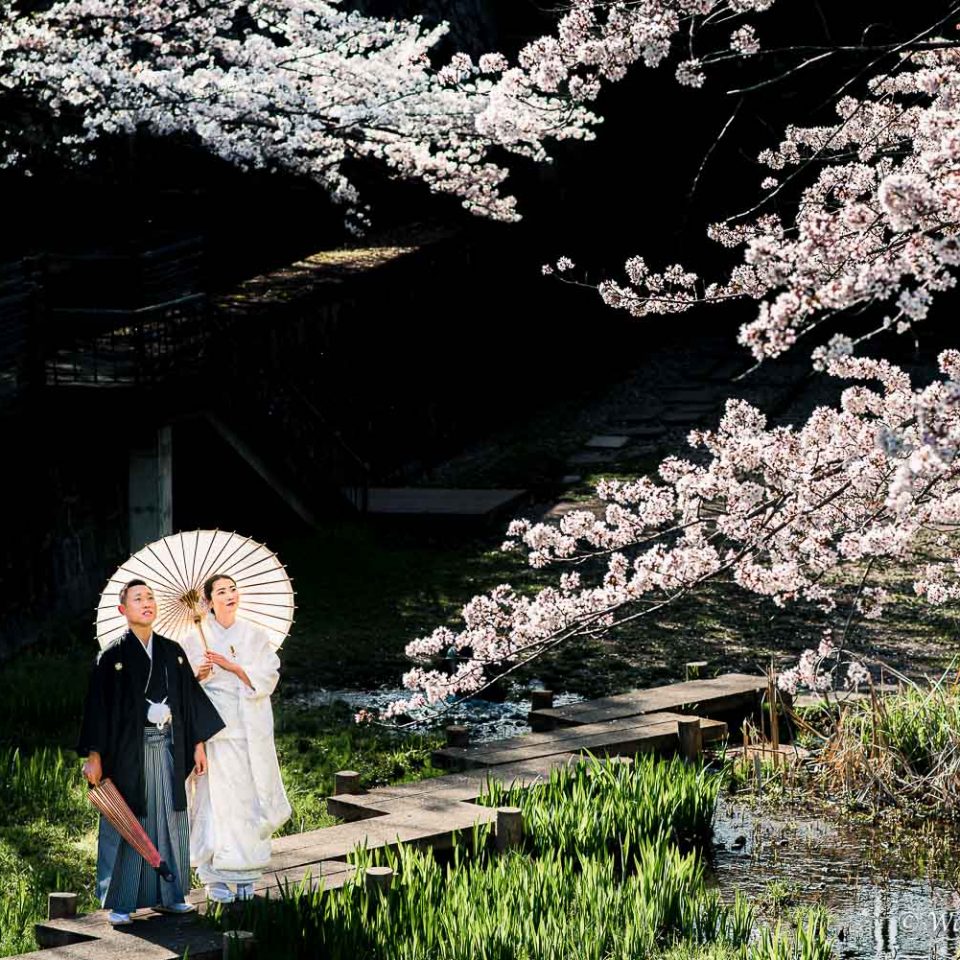 京都前撮り：東山　インクライン　平安神宮