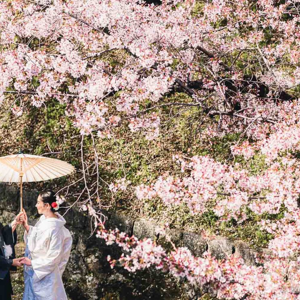 京都前撮り：東山　インクライン　平安神宮