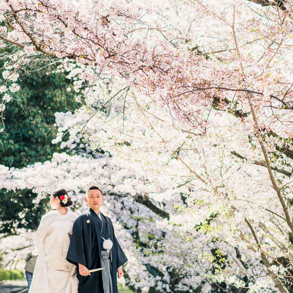 京都前撮り：東山　インクライン　平安神宮