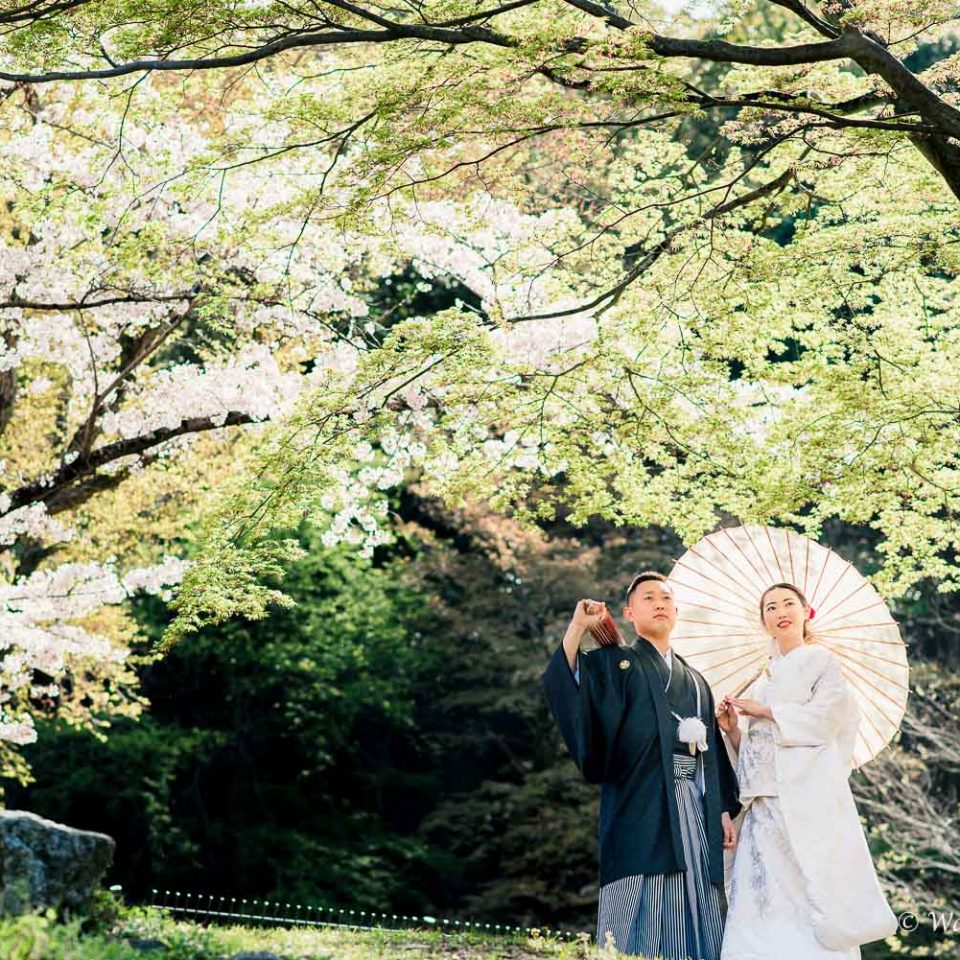 京都前撮り：東山　インクライン　平安神宮