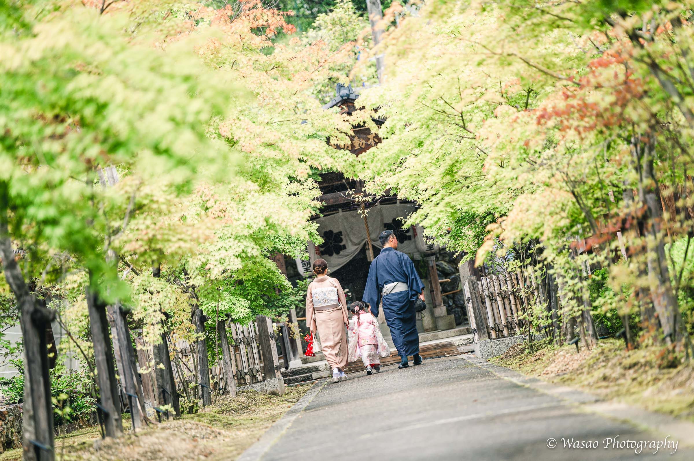 京都七五三：仁和寺