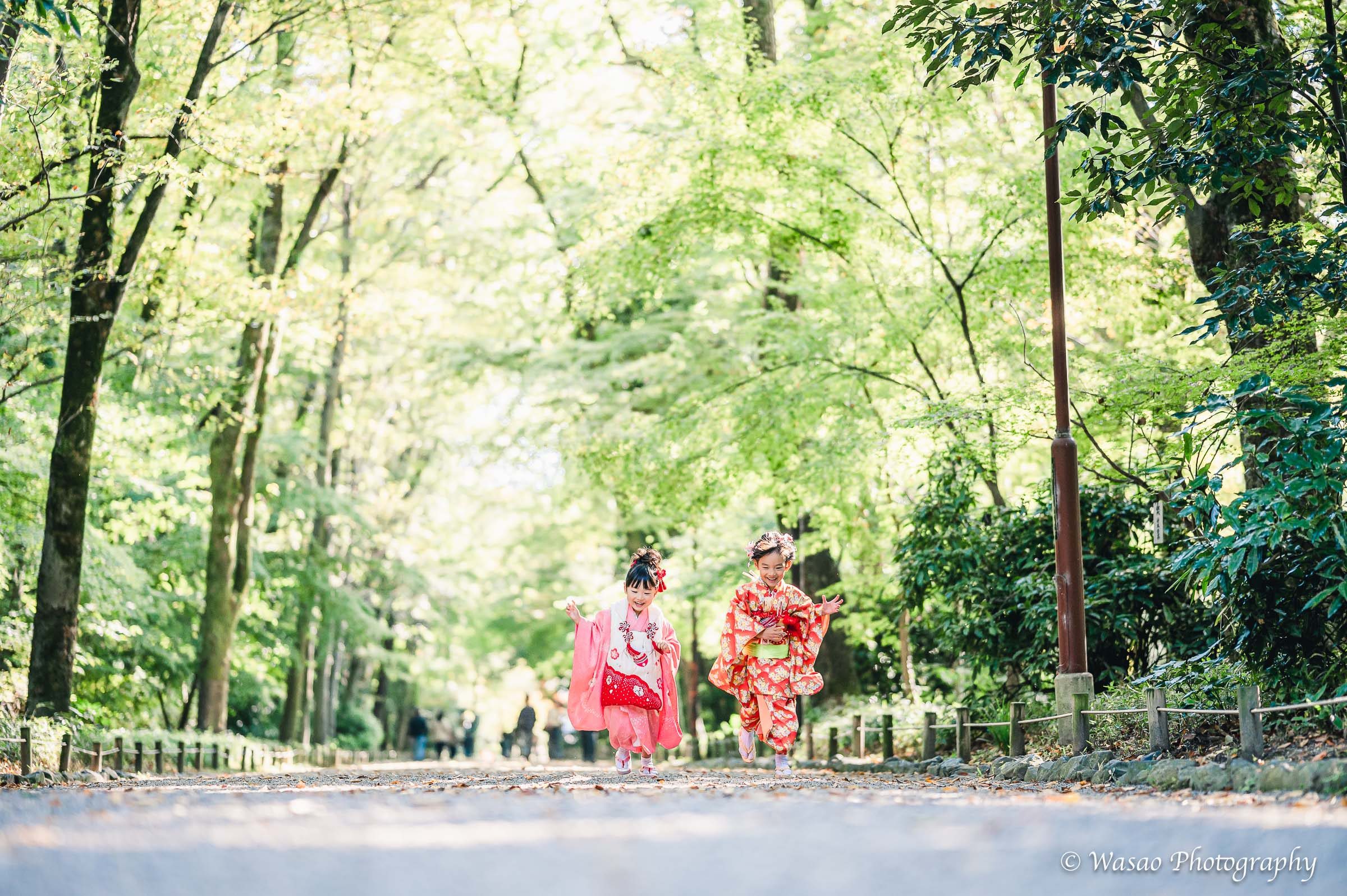 京都七五三：下鴨神社