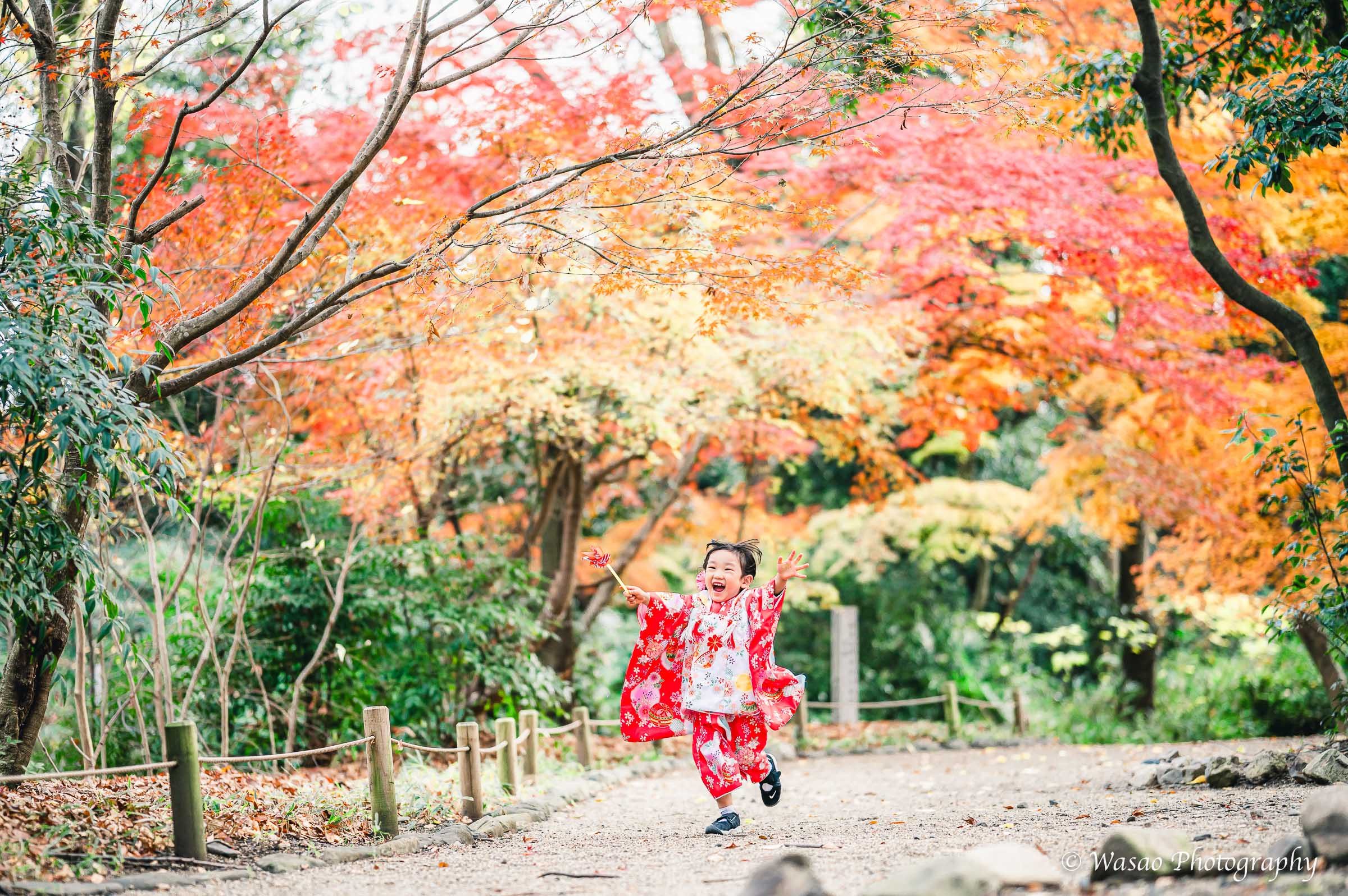 京都七五三：下鴨神社