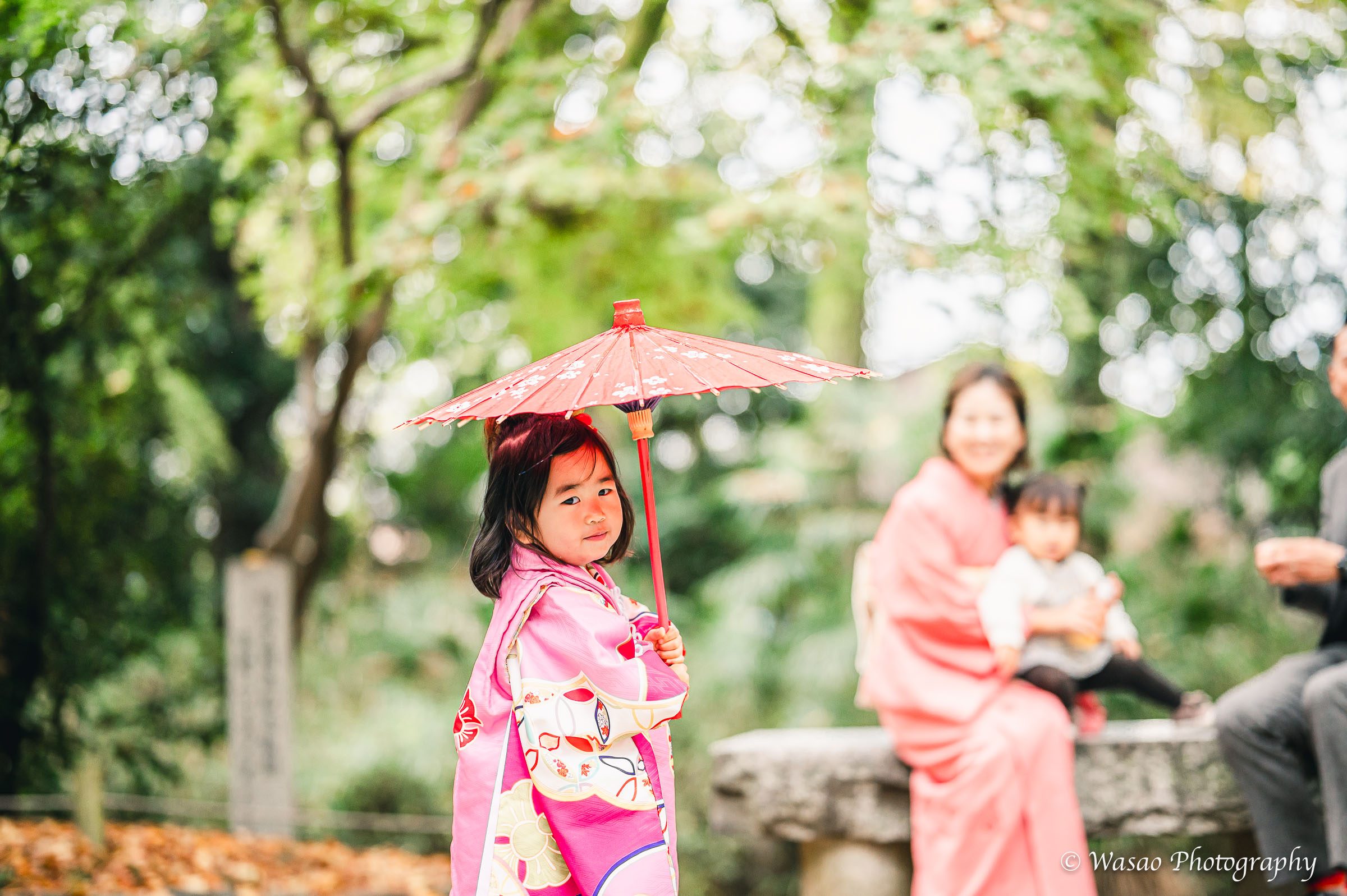 京都：下鴨神社
