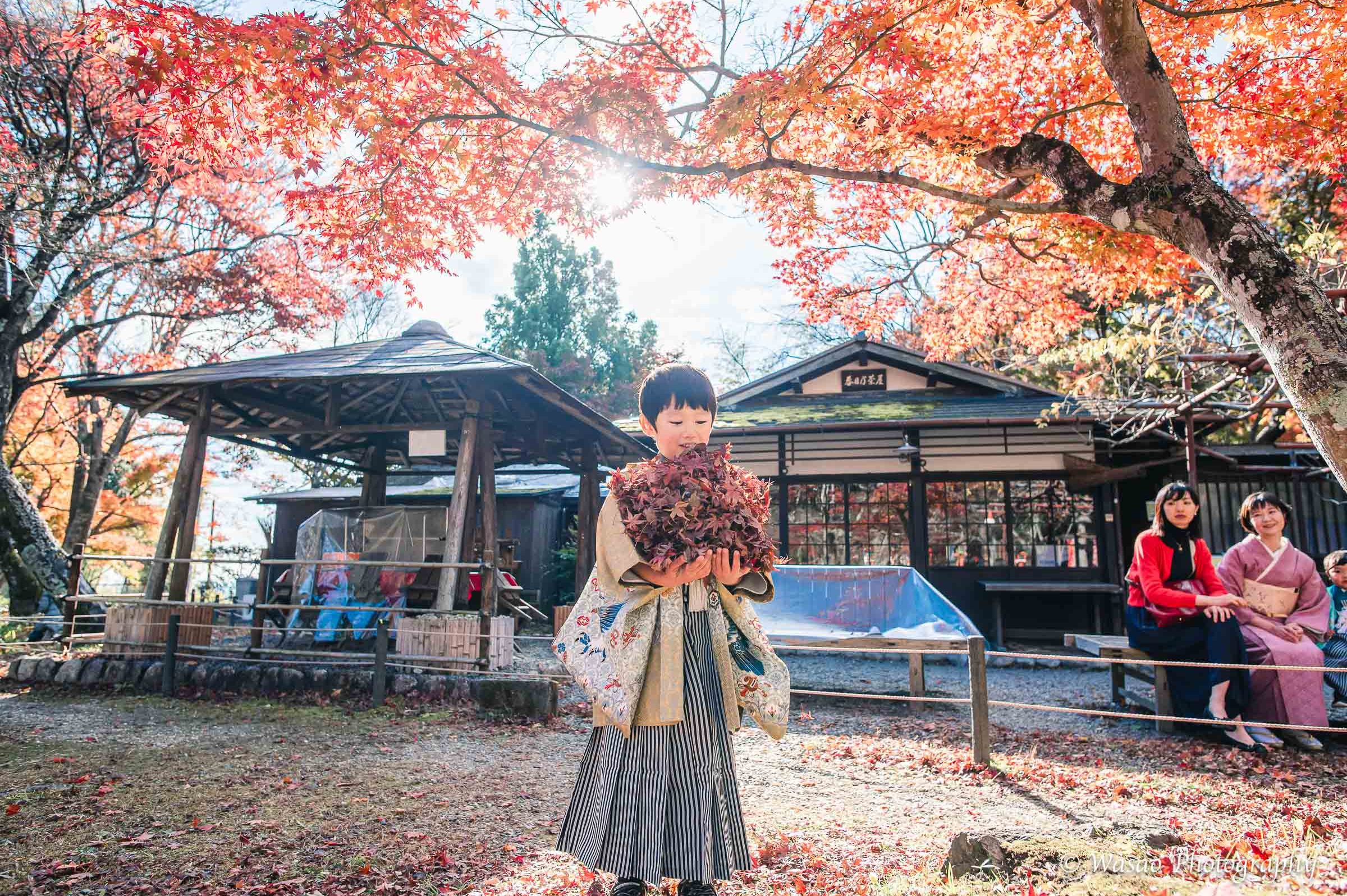 京都：大原野神社