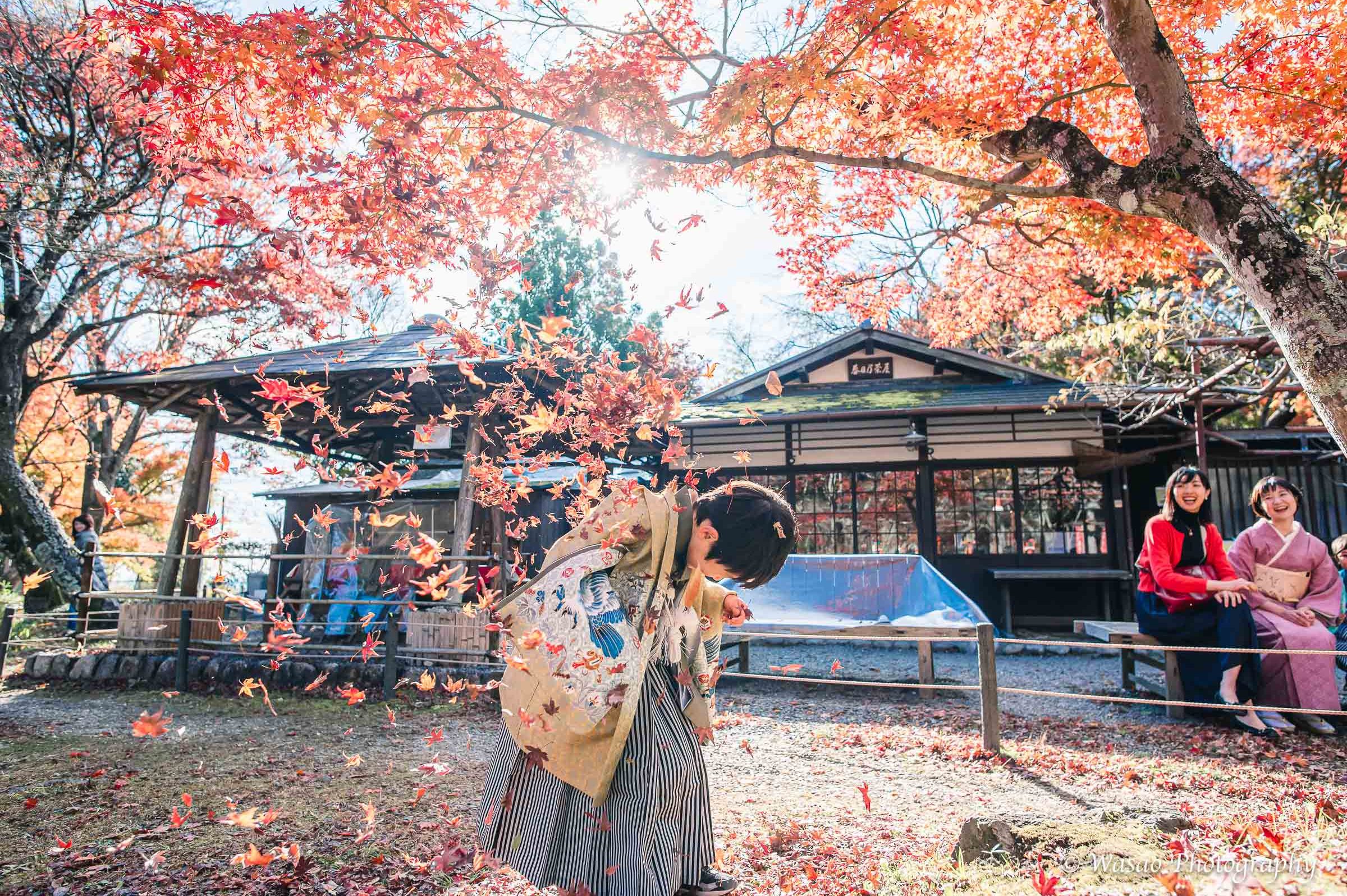 京都：大原野神社