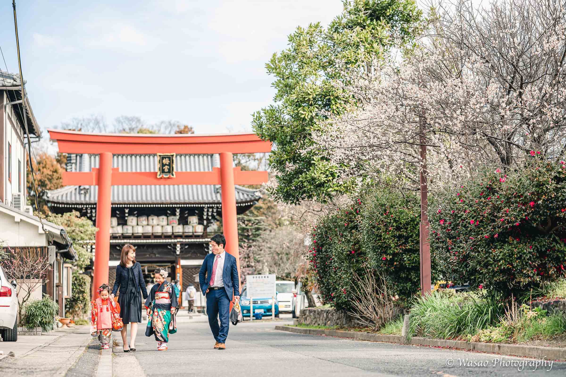 京都：梅宮大社