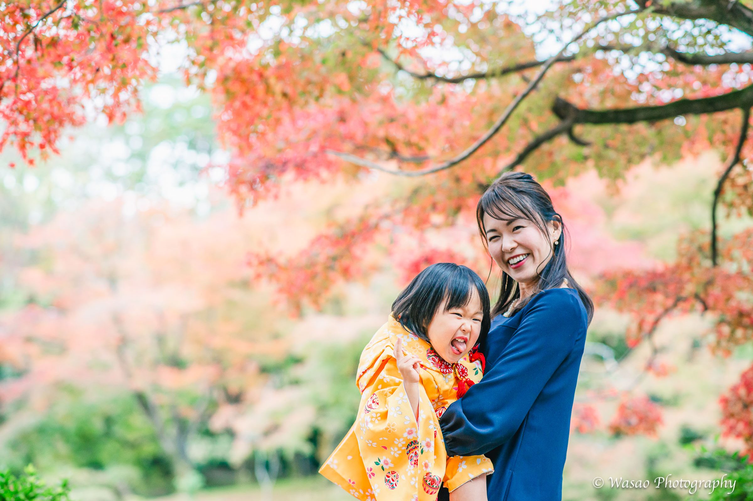 京都：植物園