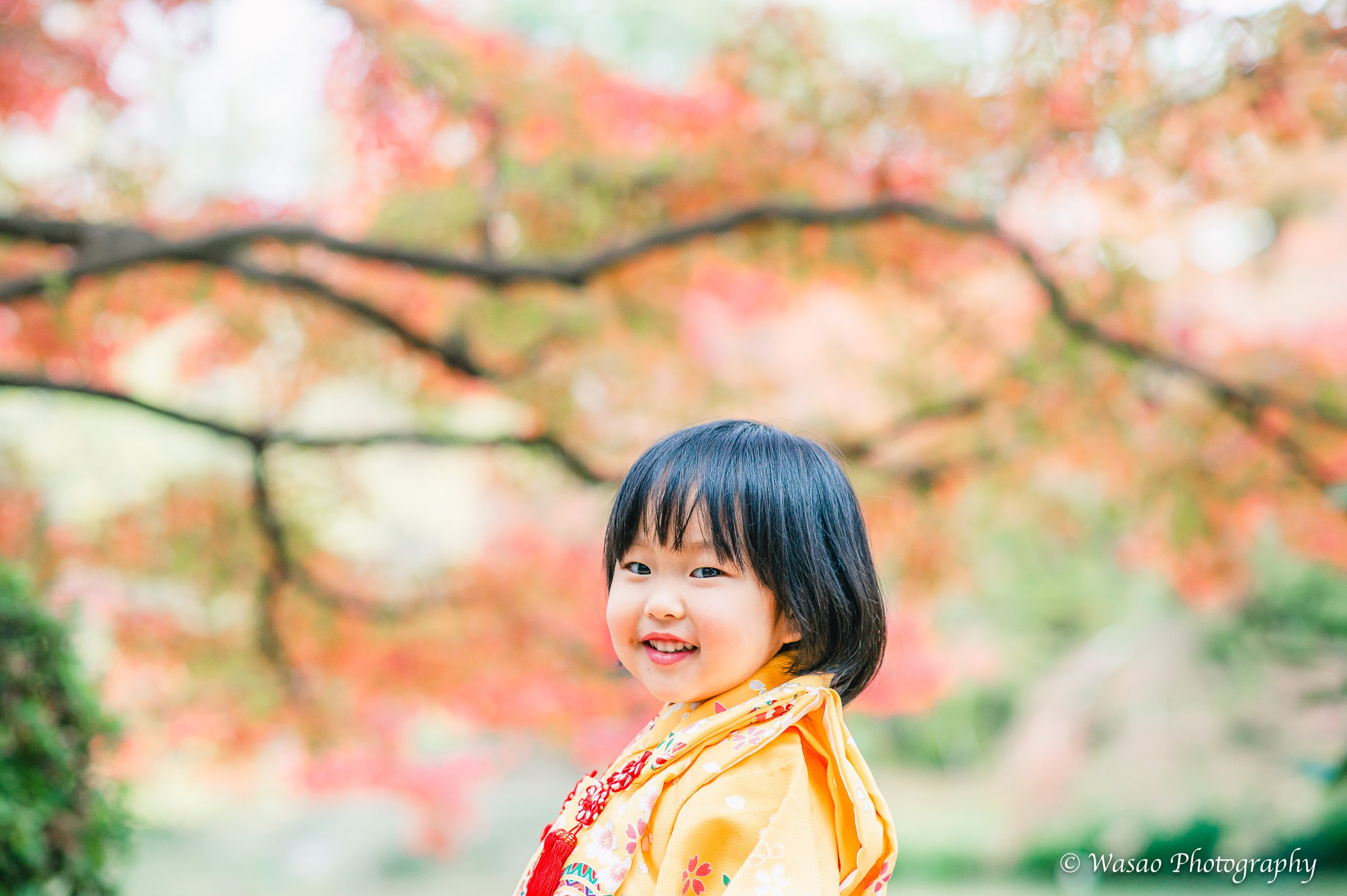 京都：植物園