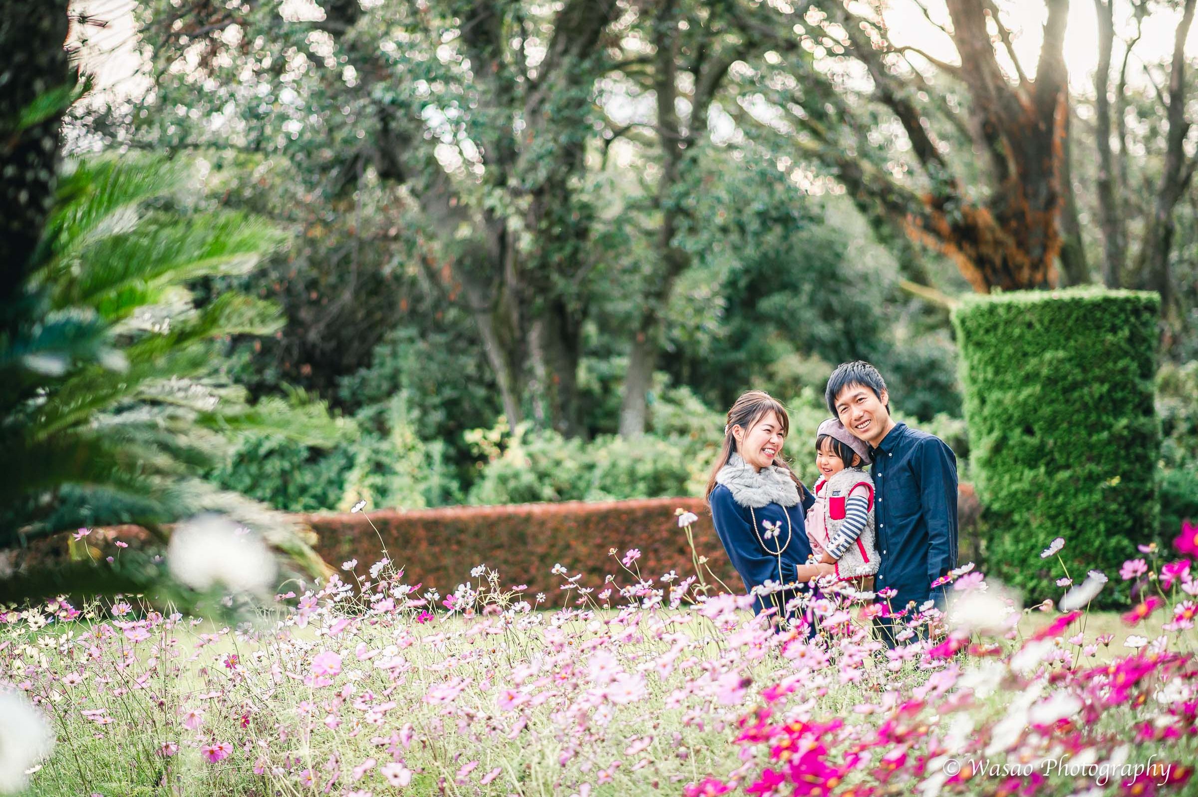 京都：植物園